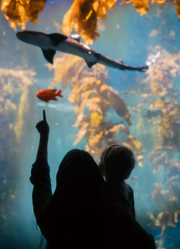 coastal consultancy image